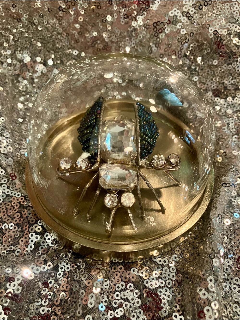 NWT Glass Dome Beetle Decorative Accent in Gold with Crystal Details